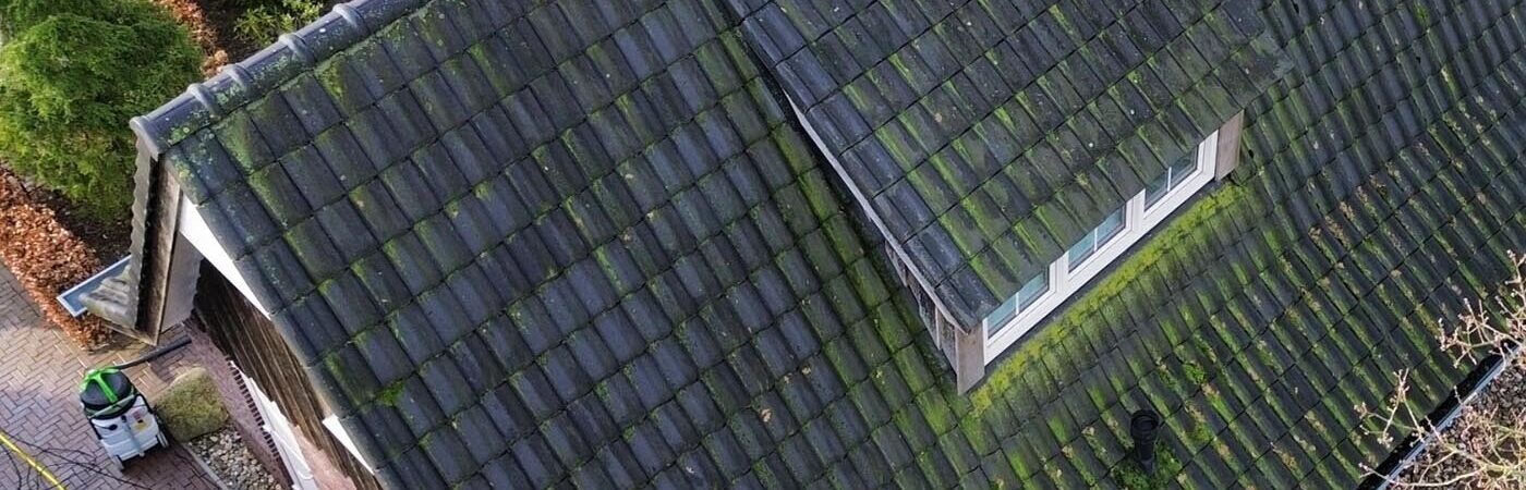 Turtle softwash Mos verwijderen