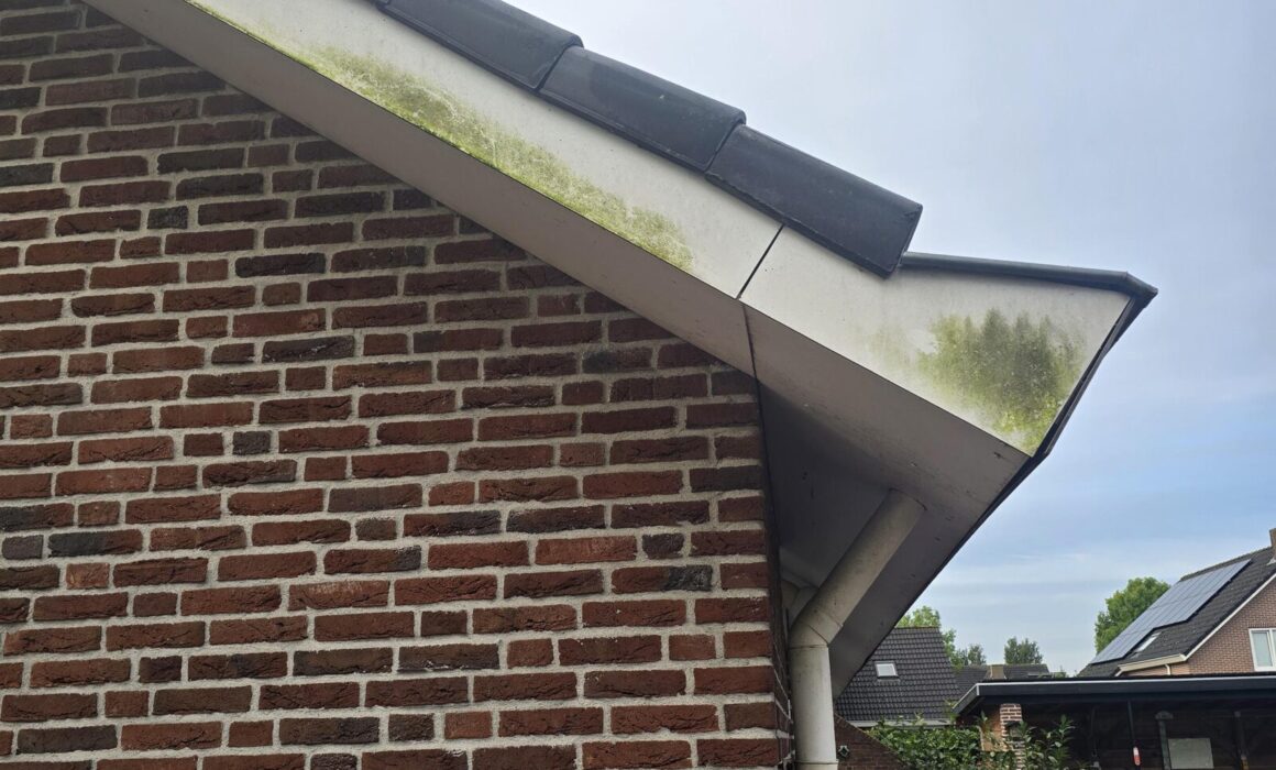 Turtle SoftWash Boeidelen RouveenVoor3
