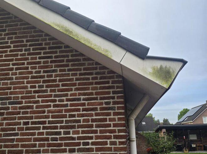 Turtle SoftWash Boeidelen RouveenVoor3