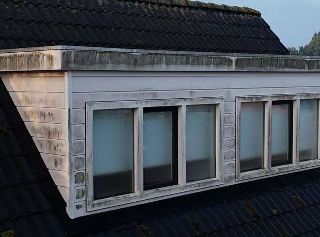 Turtle-SoftWash-Dakkapel-Voor