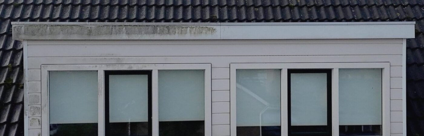 Turtle-SoftWash-Dakkapel-Voor-Na