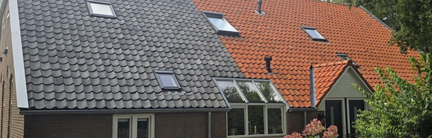 Turtle SoftWash Dakpan reinigen Schuinesloot