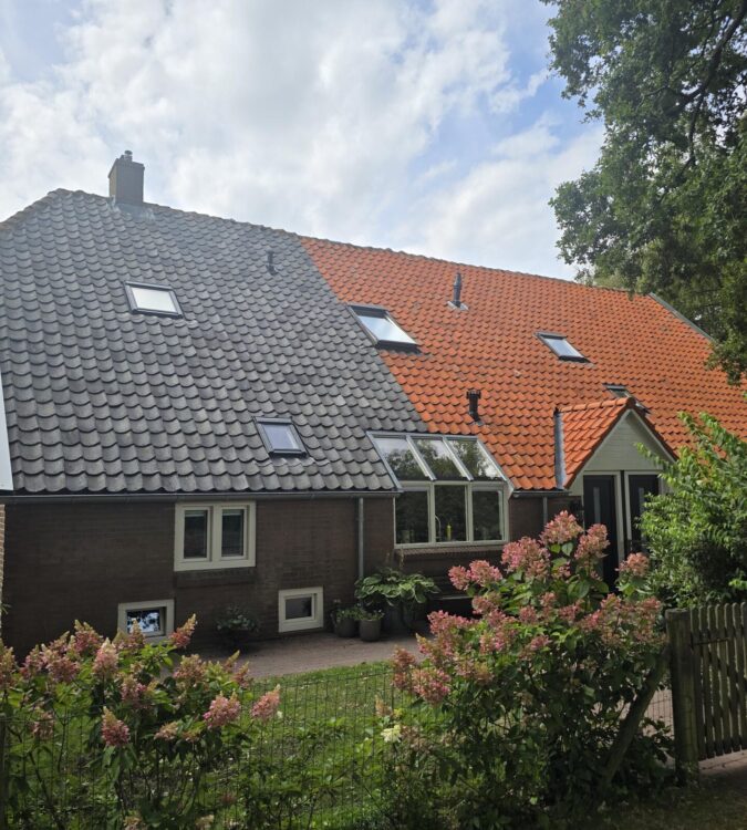 Turtle SoftWash Dakpan reinigen Schuinesloot