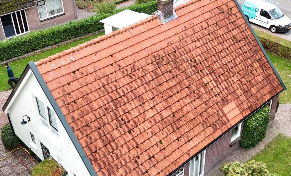 Turtle SoftWash Dakreiniging KloosterhaarVoor
